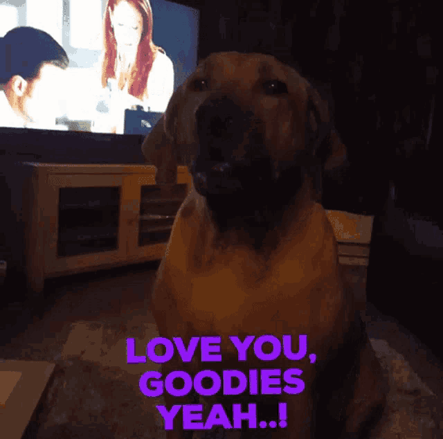 a dog sitting in front of a tv with the words love you goodies yeah written on it