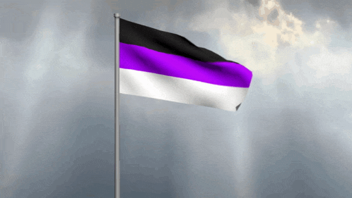 a purple and black flag is waving in the wind against a cloudy sky