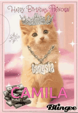 a birthday card with a cat wearing a crown and a gangsta chain