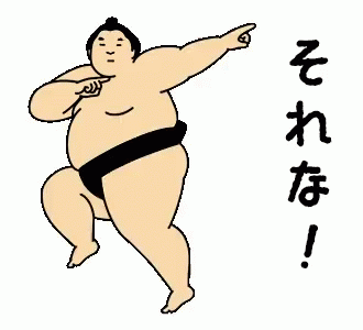 Sumo Exactly GIF - Sumo Exactly それな GIFs