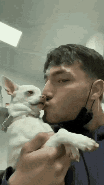 Diolga Dog GIF - Diolga Dog Dog Kiss GIFs