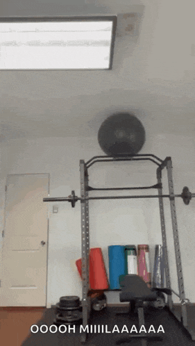 a gym with a barbell on top of a squat rack and a ball on the wall .