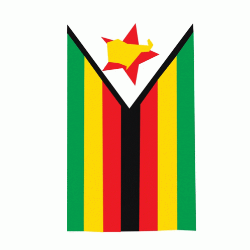 Zimbabwe Zimpride GIF - Zimbabwe Zimpride Zim Flag GIFs