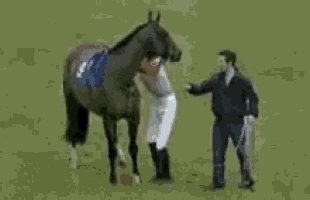 a man standing next to a horse with a speech bubble that says " do a barrel roll "