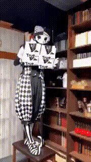 a skeleton is holding a box that says true on it
