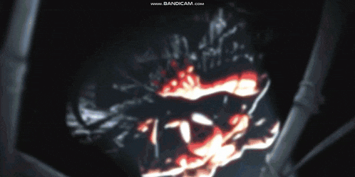a video of a spider with blood coming out of its mouth is displayed on www.bandicam.com