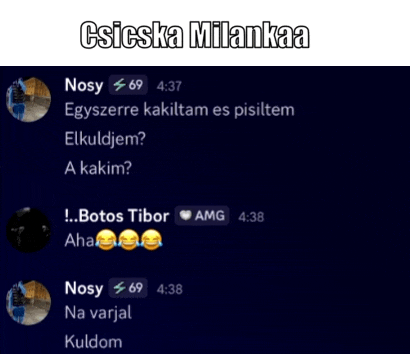 a screenshot of a conversation between nosy 69 and botos tibor