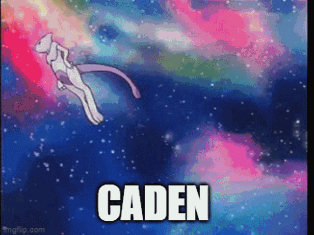 Caden GIF - Caden GIFs