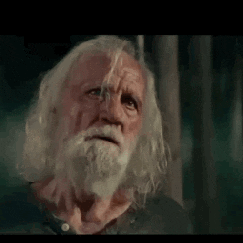 a man with long hair and a beard is looking at the camera .