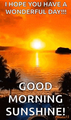 i hope you have a wonderful day !! good morning sunshine !
