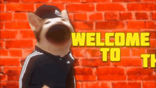 a dog wearing an adidas hat is standing in front of a red brick wall with the words welcome to th