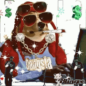 a dog wearing sunglasses and a gangsta necklace smoking a cigarette