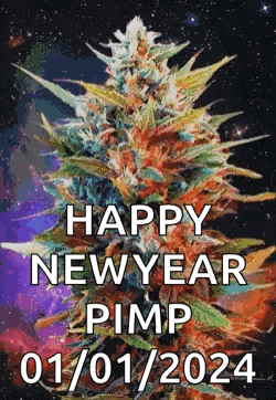 a picture of a marijuana plant with the words happy new year pimp 01/01/2024