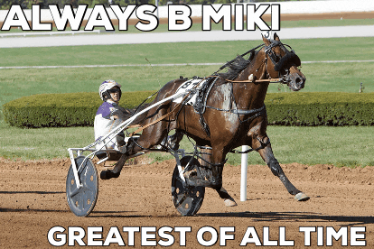 Always B Miki Always B Miki Goat GIF - Always B Miki Always B Miki Goat Best Harness Race Horse GIFs