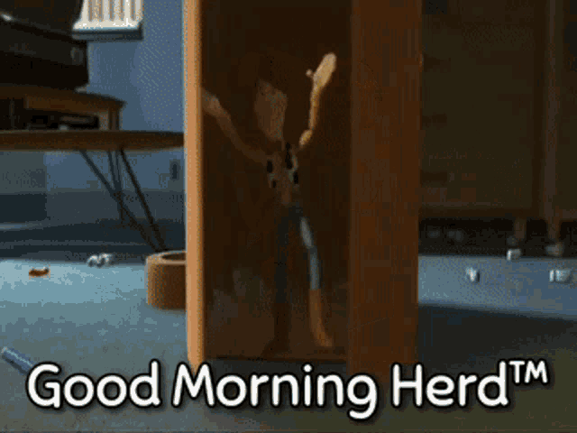 Good Morning Good Morning Herd GIF - Good Morning Good Morning Herd Herd GIFs