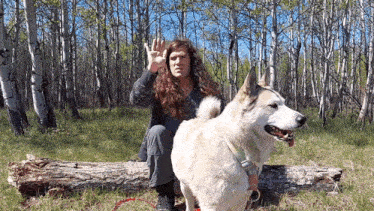 a man and a dog are sitting on a log in the woods ..
