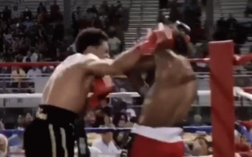 Knock Out Boxing GIF - Knock Out Boxing GIFs