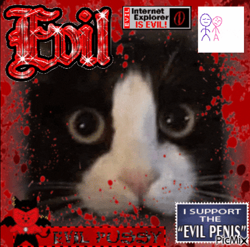 a picture of a black and white cat with the words evil internet explorer is evil and i support the evil penis