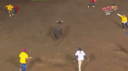 Bullfighting Hurt GIF - Bullfighting Bull Fighting GIFs