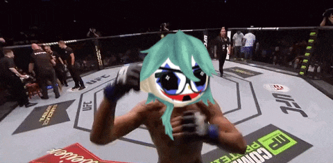 a fighter in a ufc ring with a joker mask on his face