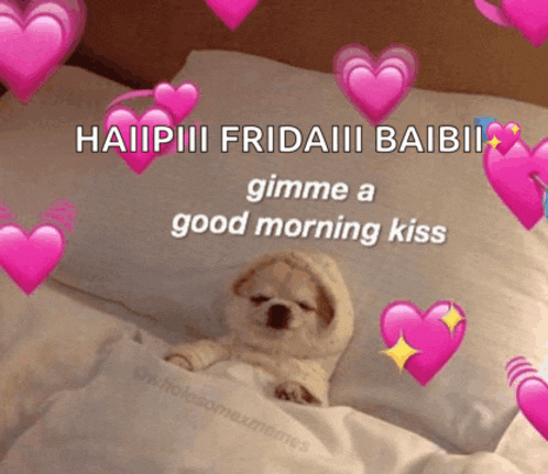 a puppy is laying in bed with hearts around it and a message that says " gimme a good morning kiss " on it
