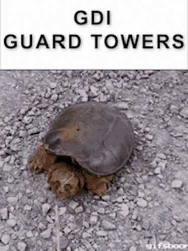 Gdiguardtowers Command And Conquer GIF - Gdiguardtowers Command And Conquer Starcat GIFs