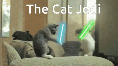Jedi The Cat Jedi GIF - Jedi The Cat Jedi Lightsaber GIFs