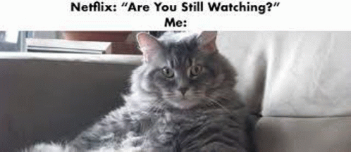 a cat is sitting on a couch with a caption that says `` netflix : are you still watching ? ''