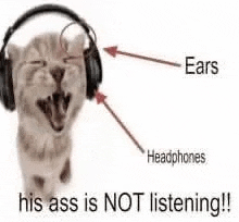 a cat wearing headphones with a caption that says `` his ass is not listening ! ''