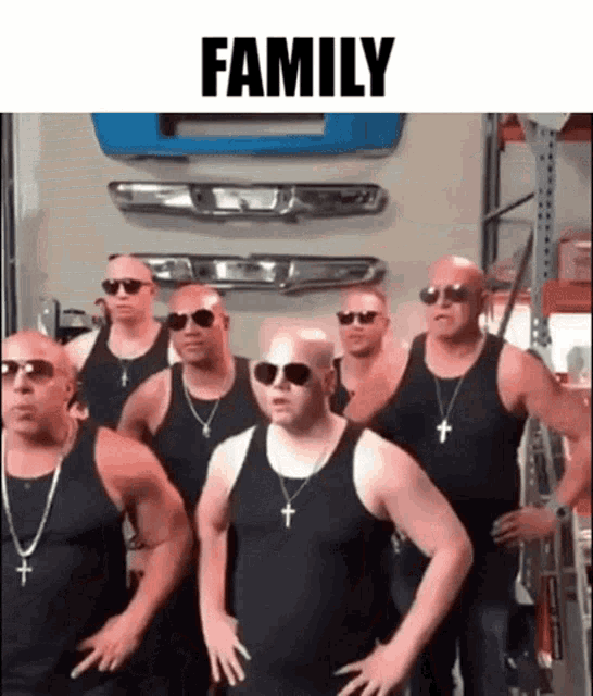 Family Fast And Furious GIF