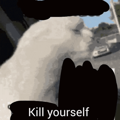 a silhouette of a person with the words kill yourself written on it .