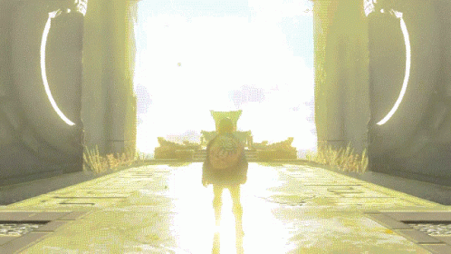 The Legend Of Zelda Tears Of The Kingdom Link GIF - The Legend Of Zelda Tears Of The Kingdom The Legend Of Zelda Legend Of Zelda GIFs