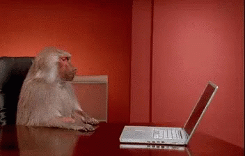 猴子 GIF - Monkey Push Laptop GIFs