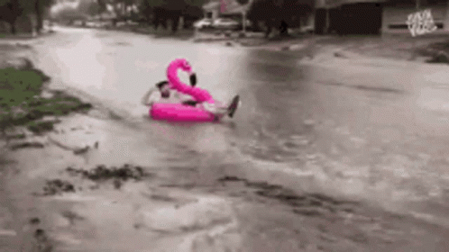 Rolling To Rainy Day Whats Going On GIF - Rolling To Rainy Day Whats Going On Rubber Boat GIFs