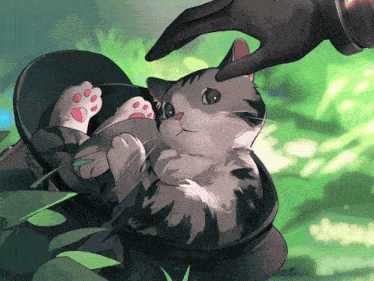 a cat is being petted by a person in a glove