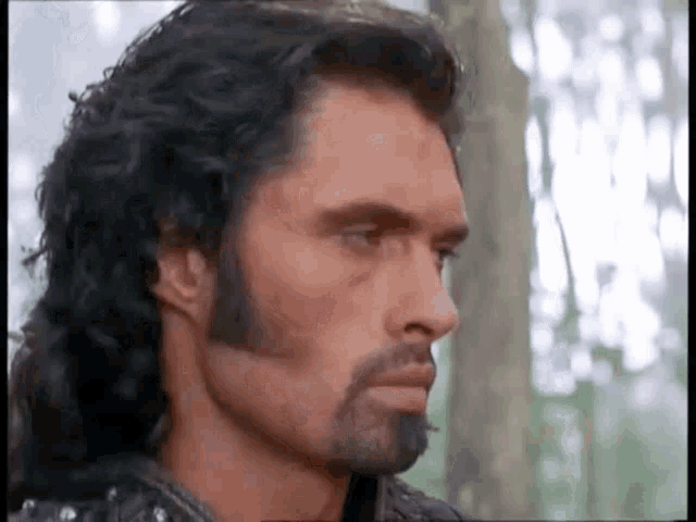 a man with long hair and a beard is standing in the woods and looking at the camera .