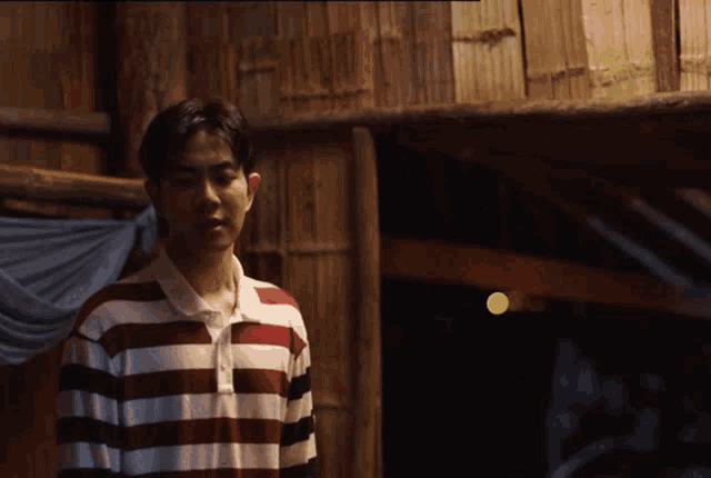 a man wearing a striped shirt stands in front of a wooden wall