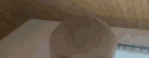 a close up of a person 's head with a shaved head sitting on a bed .