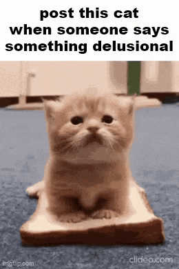 a kitten is sitting on a piece of bread with the caption " post this cat when someone says something delusional "