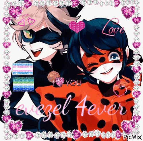 a picture of a ladybug and cat noir with the words i love you on the bottom