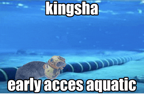 a kingsha early access aquatic meme with a rat