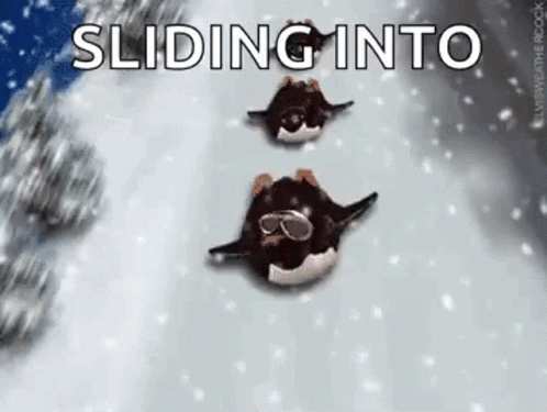 Winter Break Sledding GIF - Winter Break Sledding Penguins GIFs