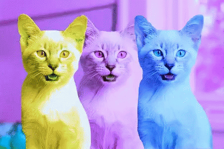 Psychedelic Three GIF - Psychedelic Three Cat GIFs