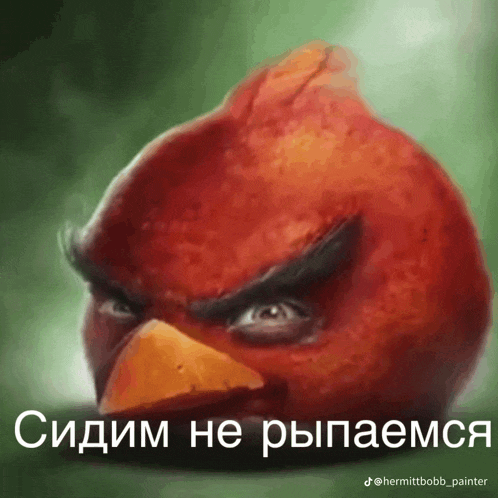 a painting of an angry bird with a foreign language caption