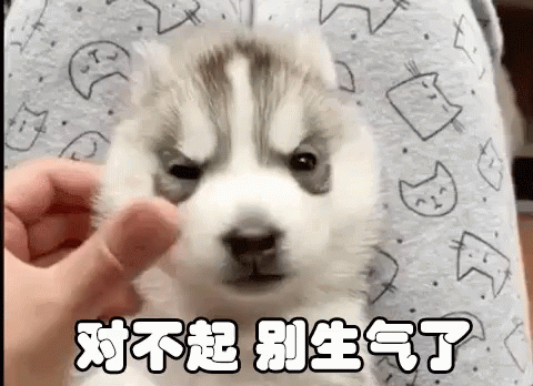 对不起 GIF - Sorry Apology Puppy GIFs