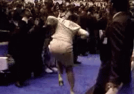Oh Lord GIF - Church Lady Oh Lord Praise GIFs