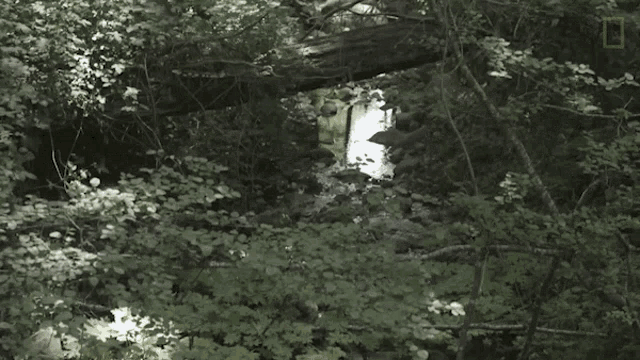Beautiful Scenery What Happens If Your Town Runs Out Of Water GIF - Beautiful Scenery What Happens If Your Town Runs Out Of Water Nature View GIFs
