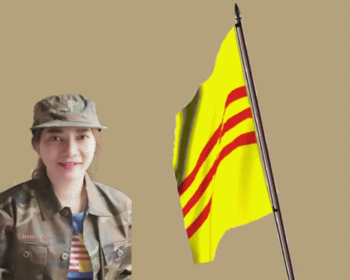 Vietnam Flag Flag GIF - Vietnam Flag Flag Vietnam GIFs