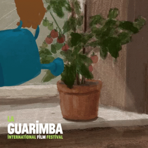 Guarimba Love GIF - Guarimba Love Enjoy GIFs