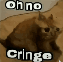 Cringe Cat GIF - Cringe Cat GIFs
